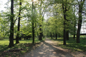 Park
