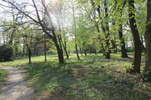 Park